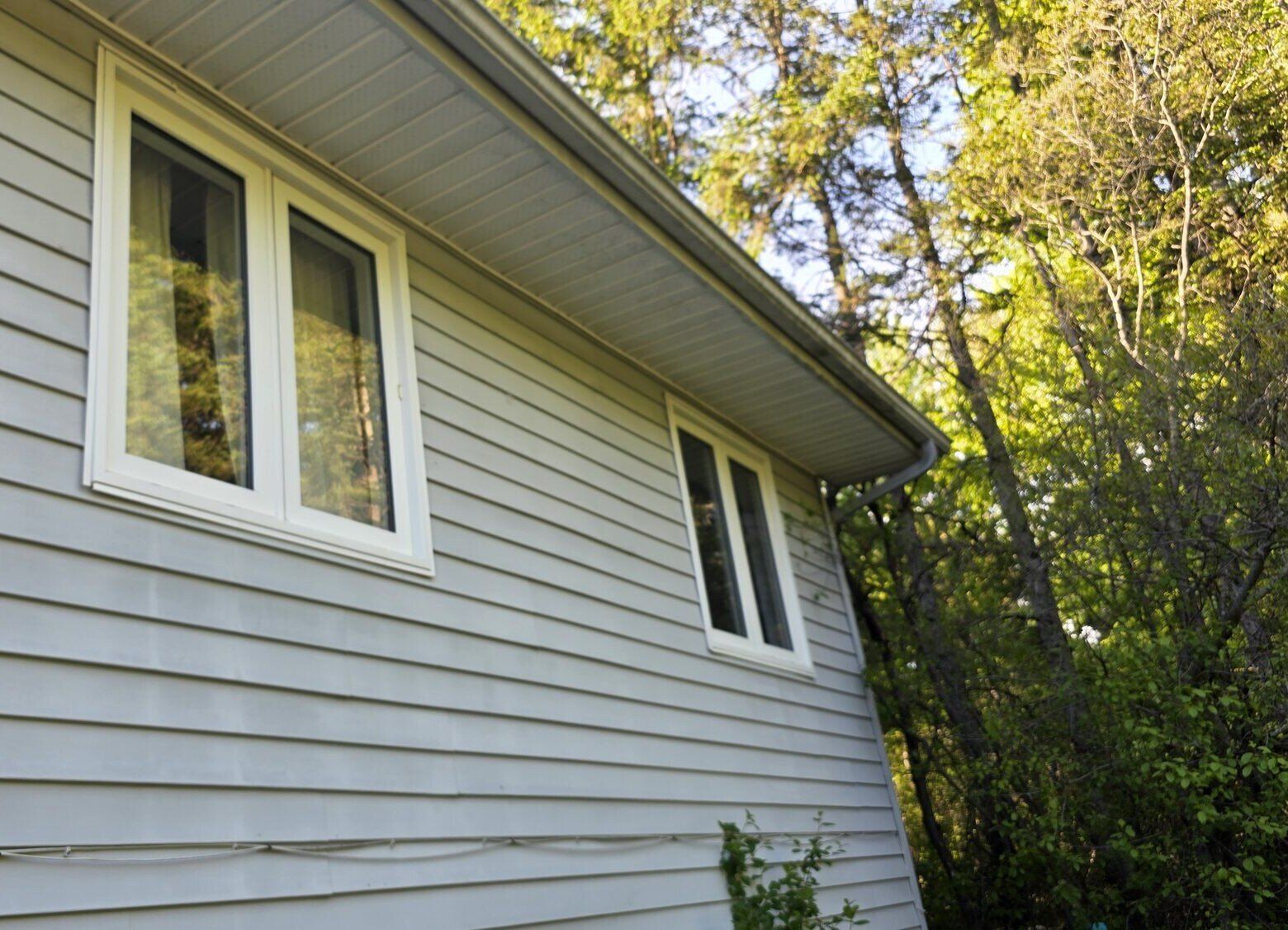 Vinyl siding and new windows
