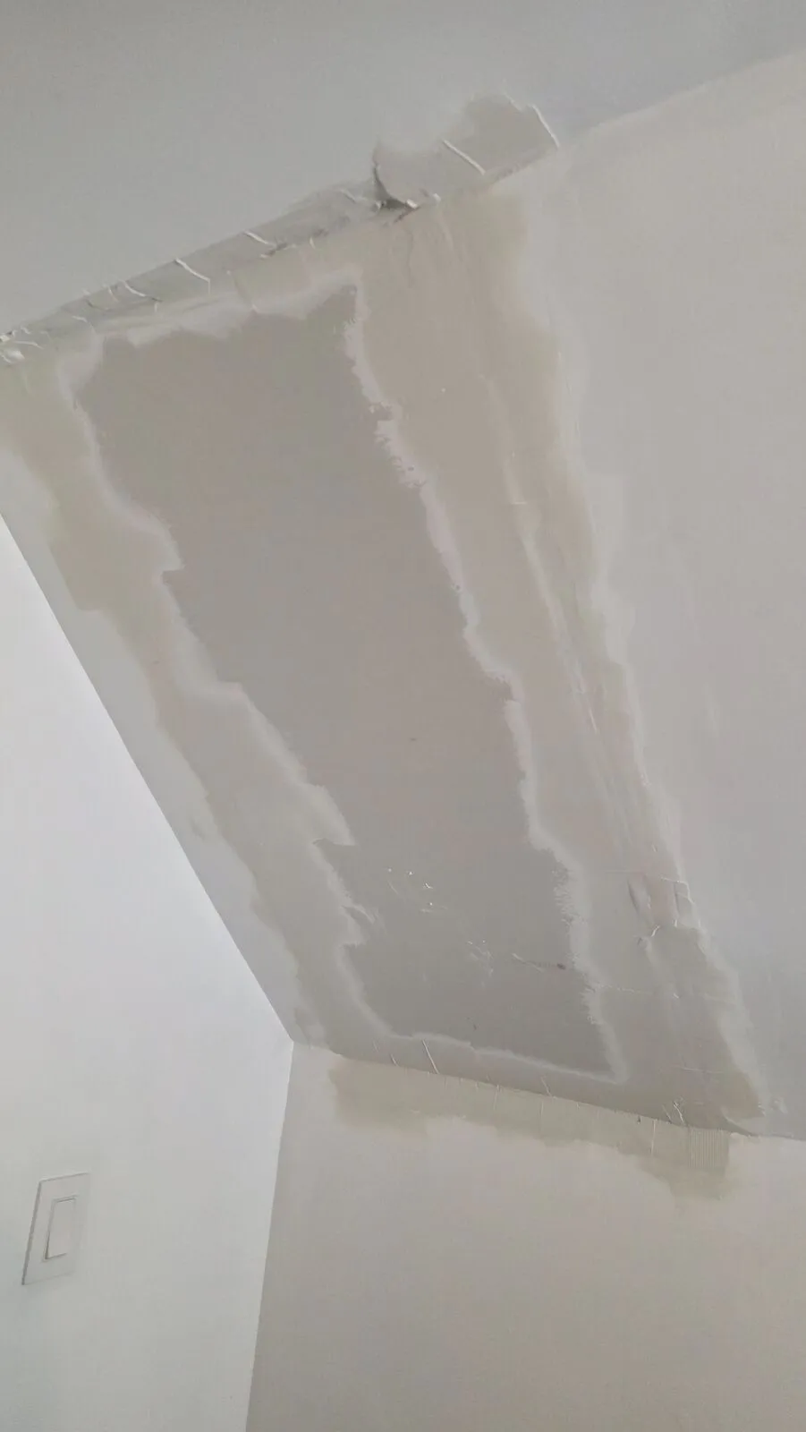 Roof replacement and skylight removal — work in progress (4)