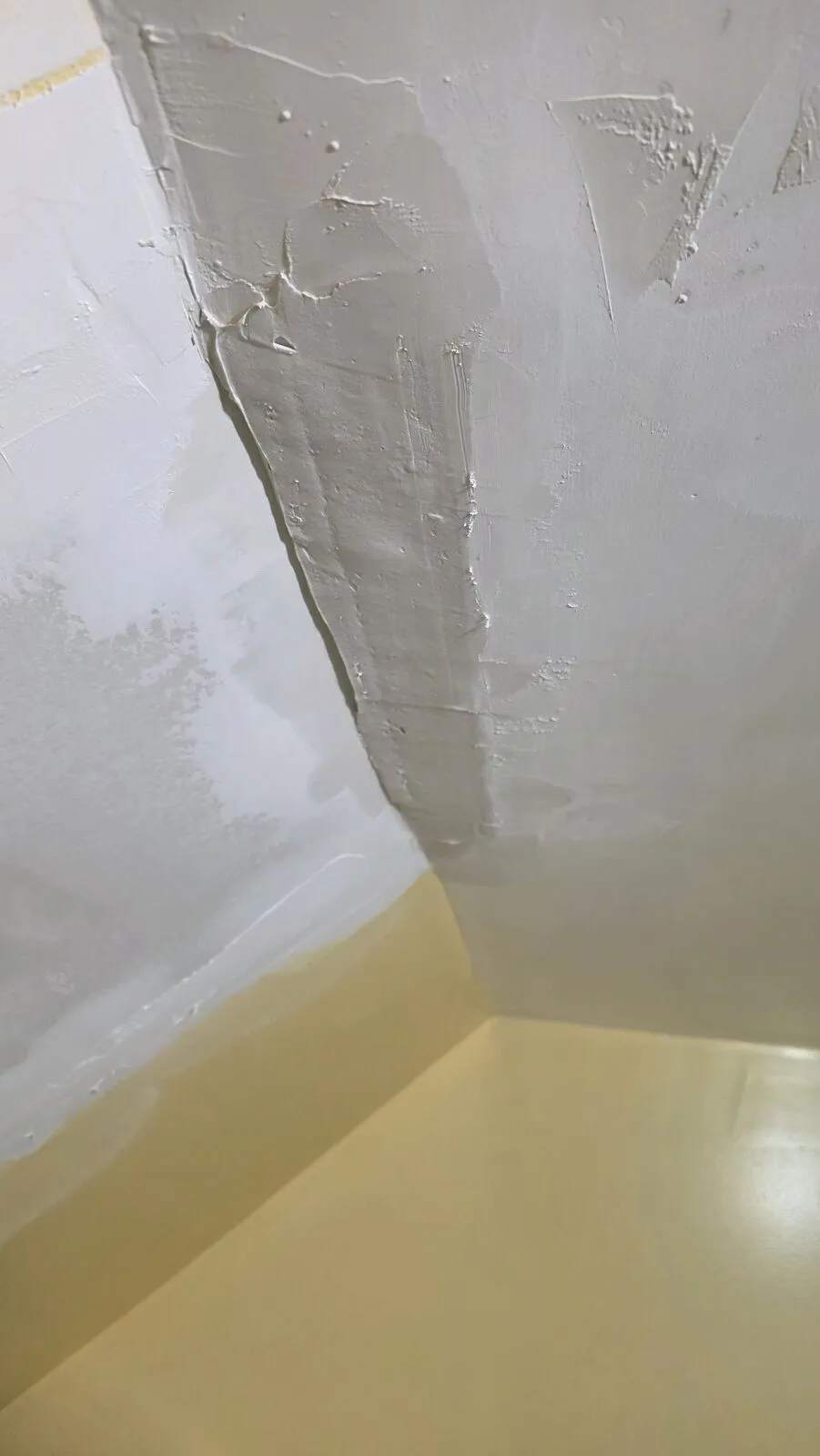 Roof replacement and skylight removal — work in progress (6)