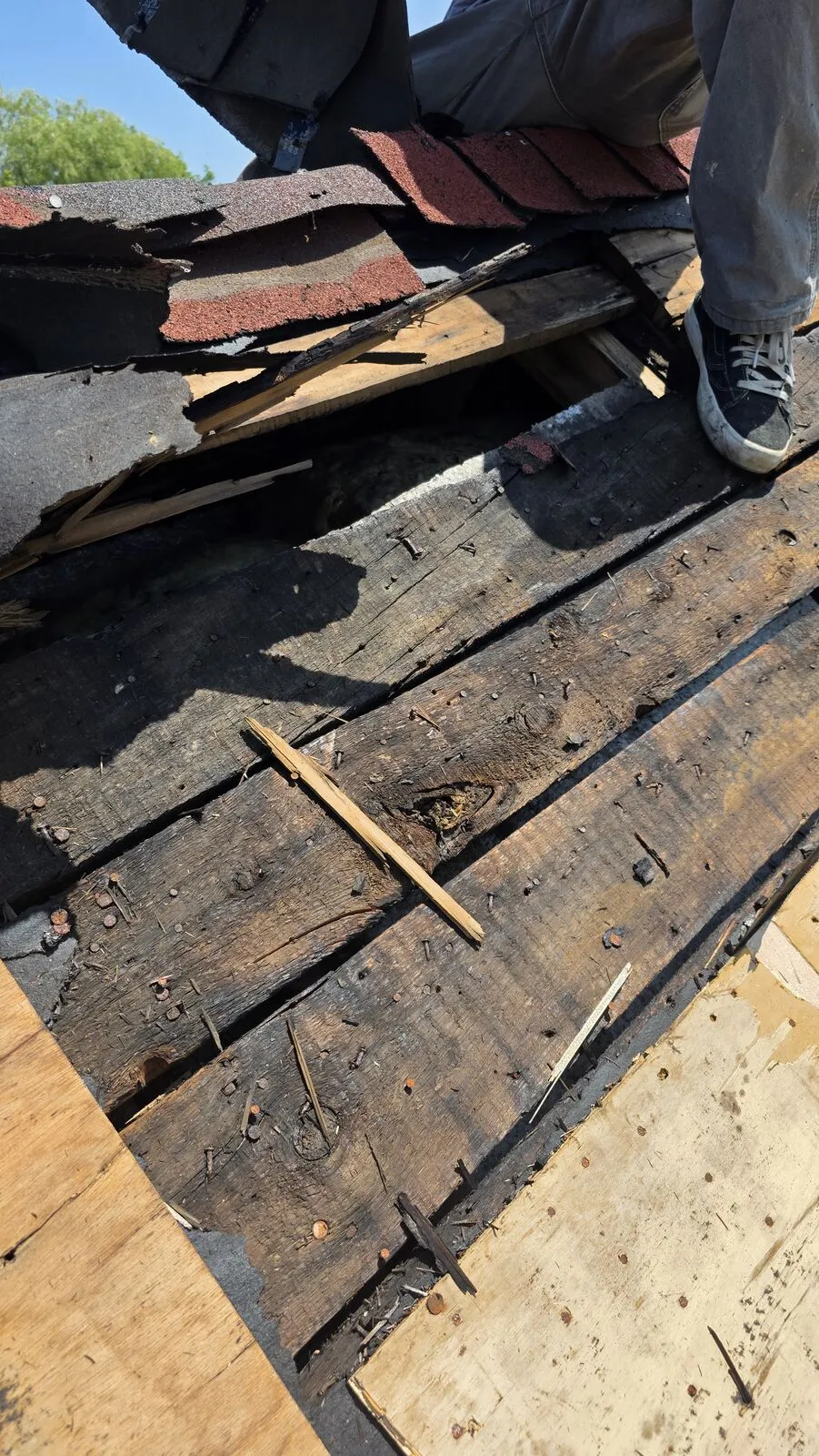 Roof replacement and skylight removal — work in progress (9)