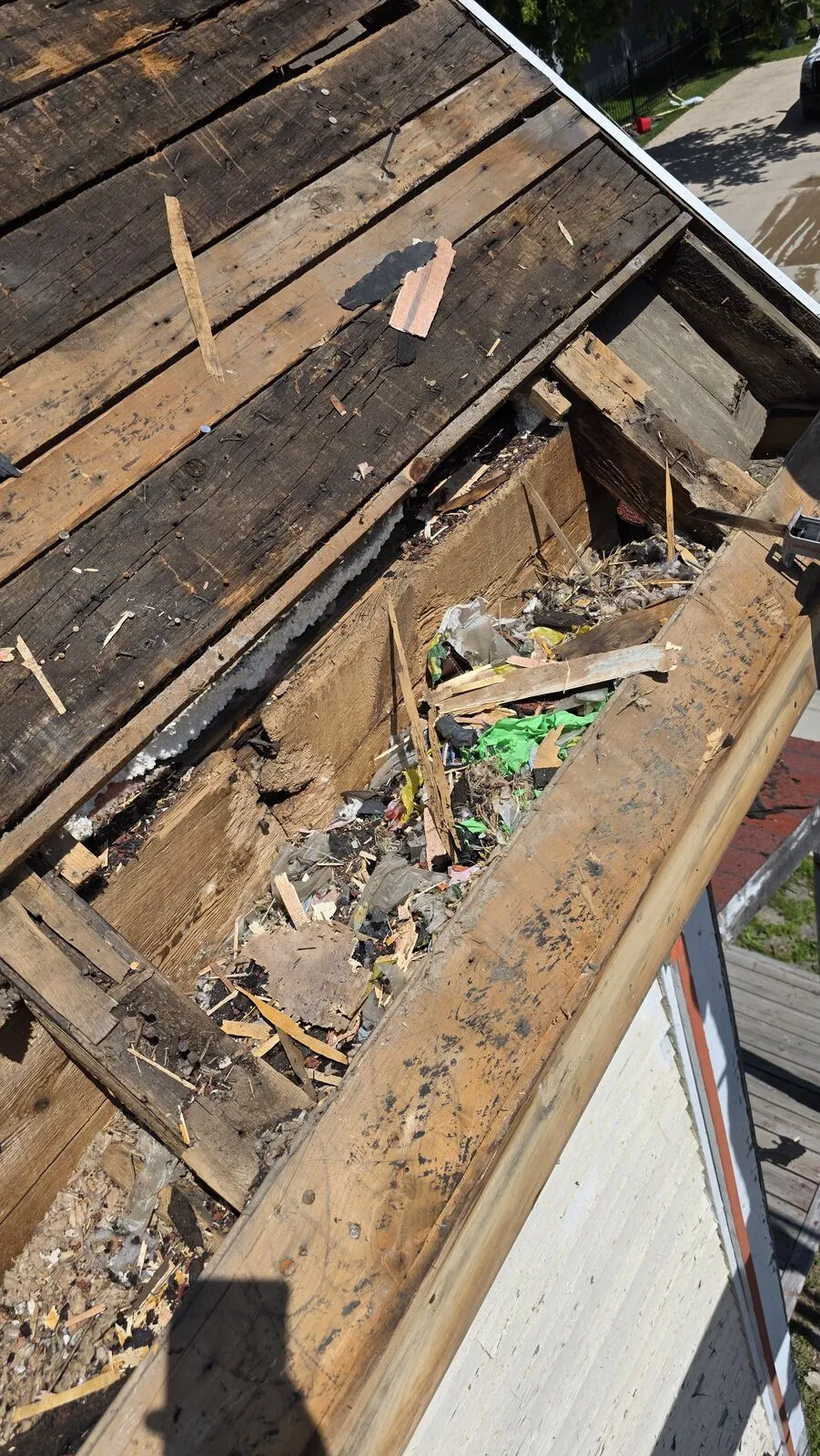 Roof replacement and skylight removal — work in progress (10)